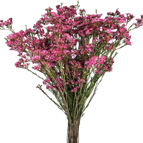 Botanical Escape - Pink - Beaded Cascade Floral Paparazzi Fishhook